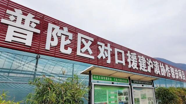 东川蓝莓沪上飘香k8凯发一触即发(图2)
